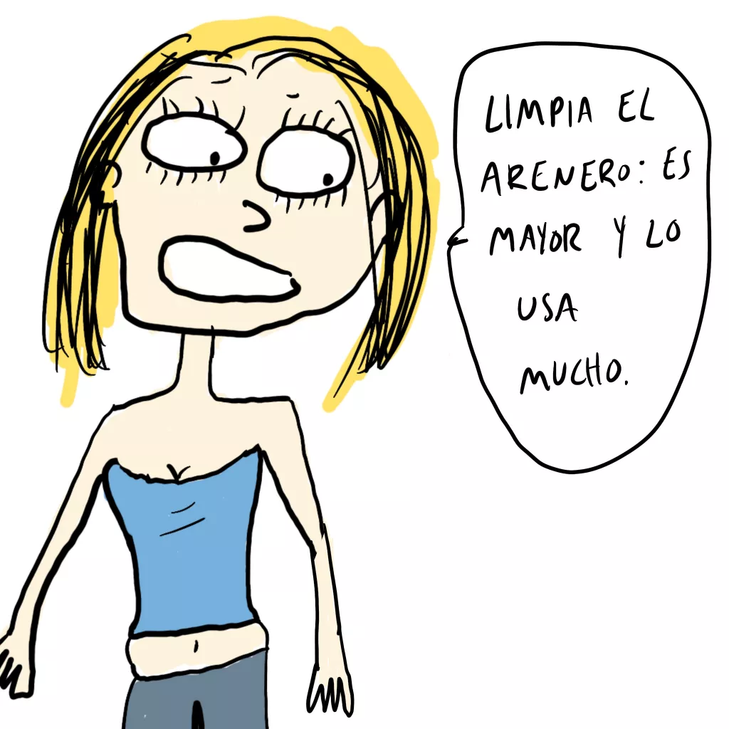 dos semanas